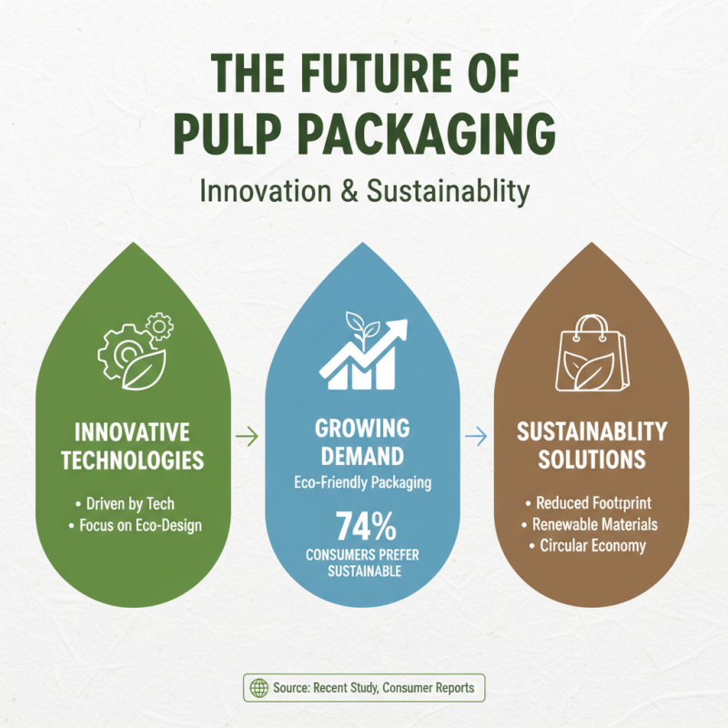 2026 Best Pulp Packaging Options for Sustainable Solutions?