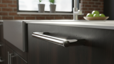 Top 10 Benefits of Using Polished Chrome Handle in Your Home Design?