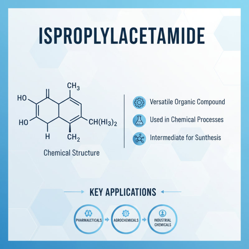 What is N Isopropylacetamide and How is it Used?