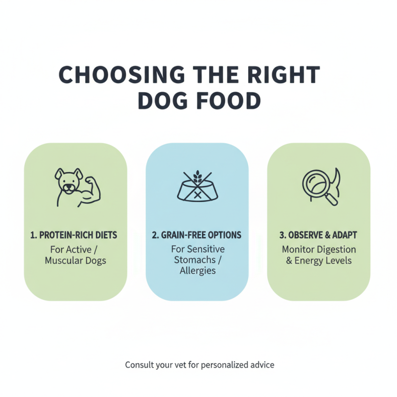 Top Nutrish Dog Food Options for Healthier Pets?