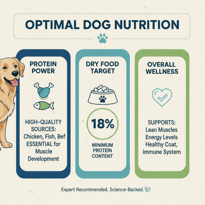 Top Nutrish Dog Food Options for Healthier Pets?