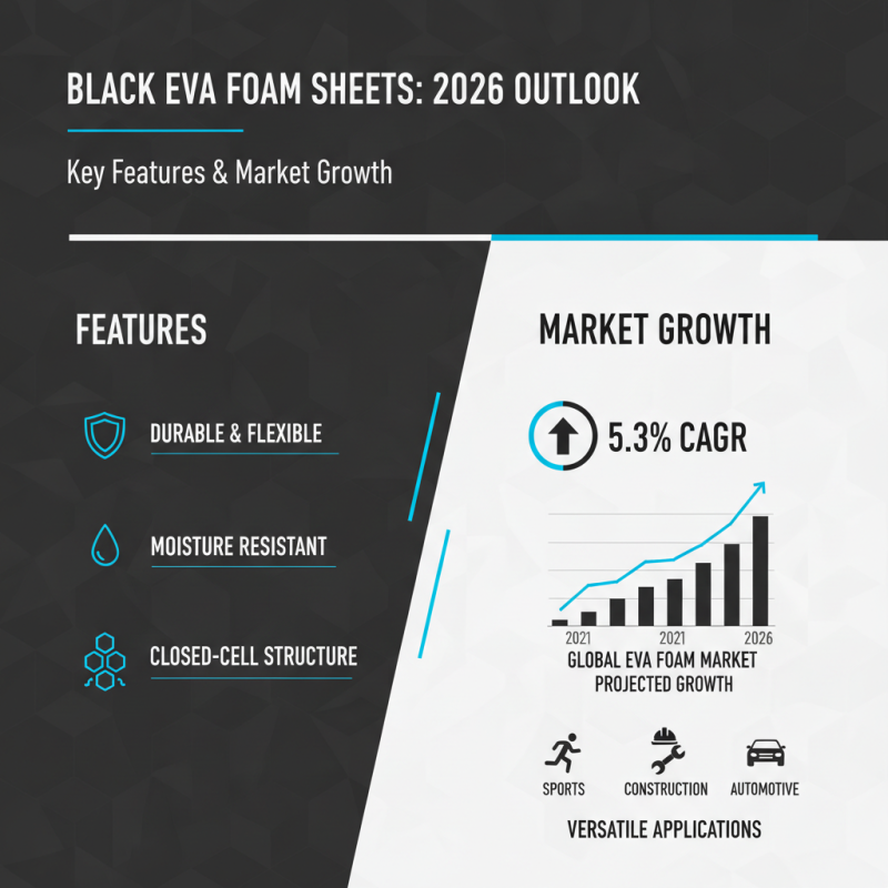 2026 Best Black Eva Foam Sheets Roll Reviews and Uses?