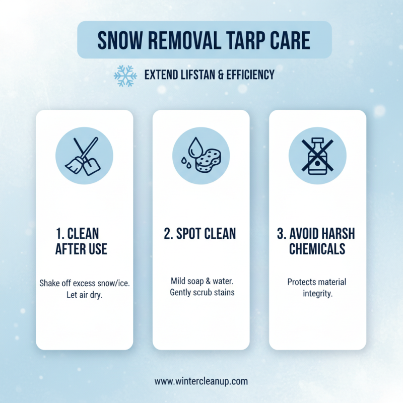 10 Best Snow Removal Tarps for Effortless Winter Cleanup?