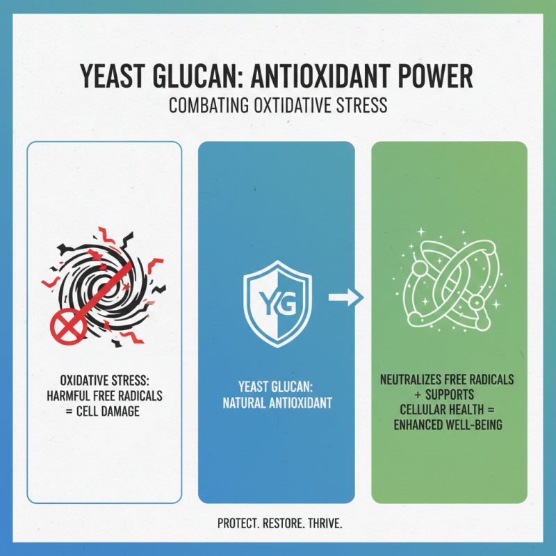 Top 10 Benefits of Yeast Glucan for Health and Wellness?