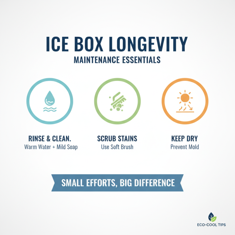 Top Portable Ice Box Reviews for Your Outdoor Adventure Needs?