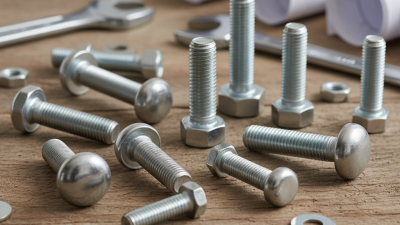 Best Stainless Carriage Bolt Types for Your Projects?