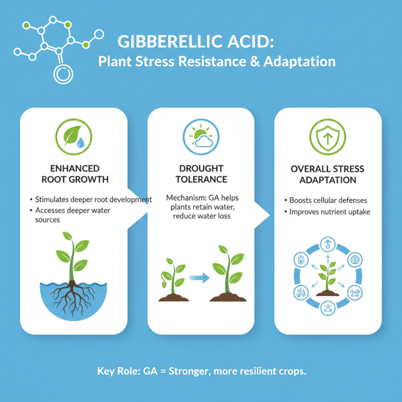 Uses of Gibberellic Acid in Plants Benefits and Applications?