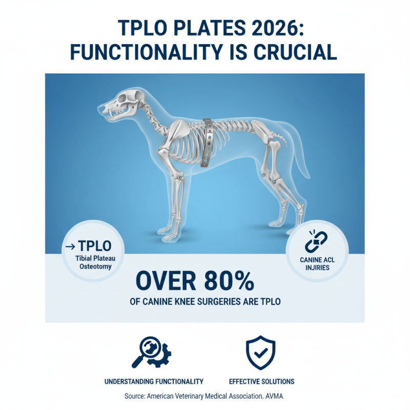 2026 Best Tplo Plate Dog Options for Optimal Canine Recovery?
