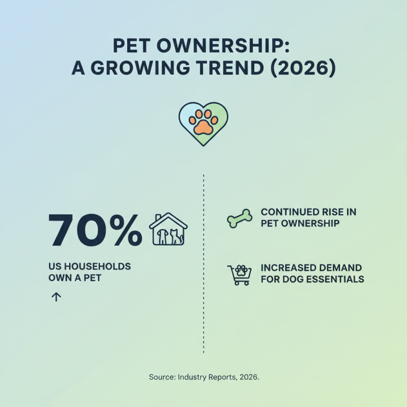 2026 Best Pet Products You Need for Your Furry Friend?