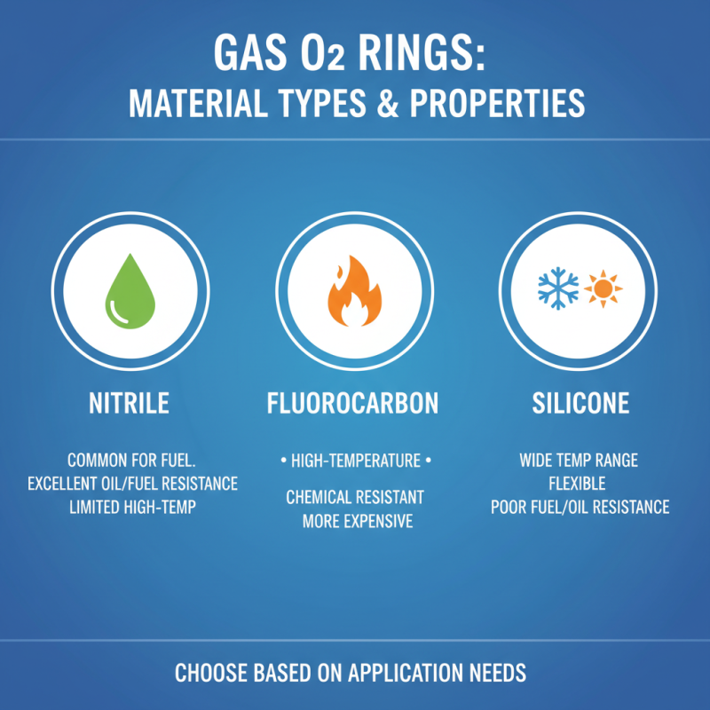 How to Choose the Right Gas O Rings for Your Needs?