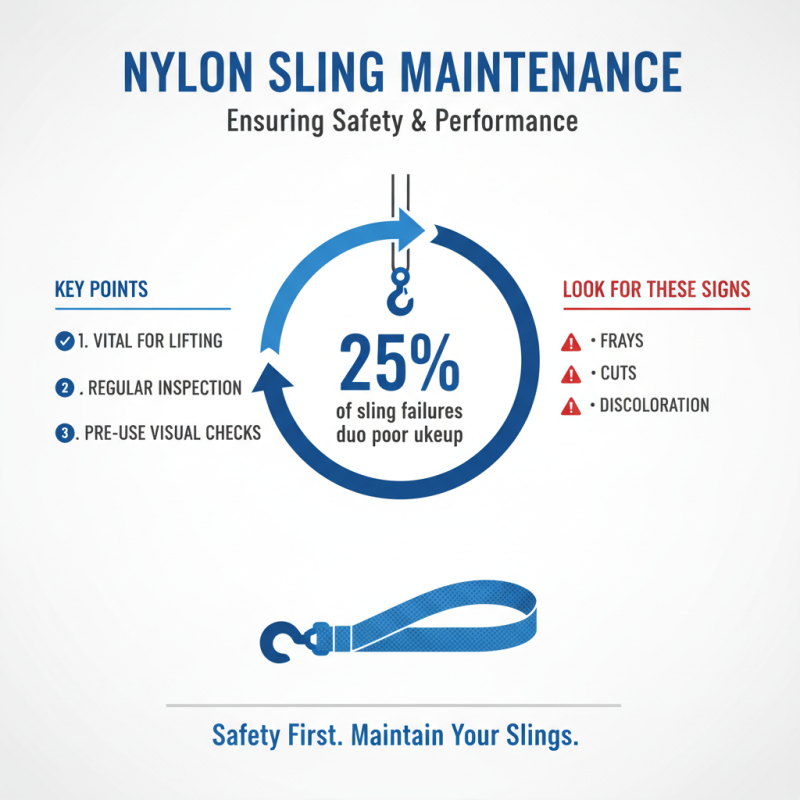 2026 Best Nylon Slings for Safety and Performance in Lifting Tasks?