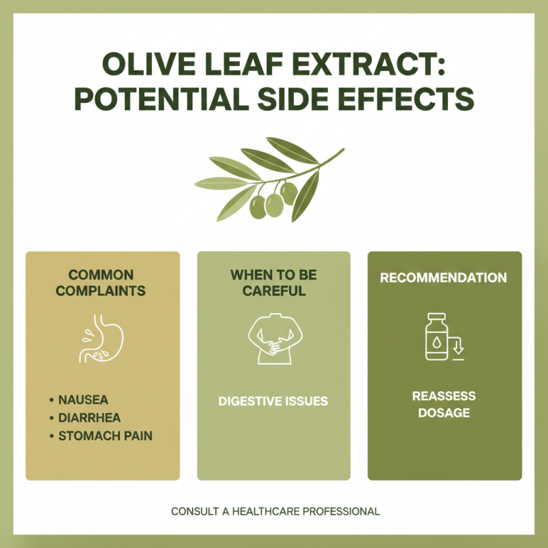 How to Use Olive Leaf Extract for Health Benefits?