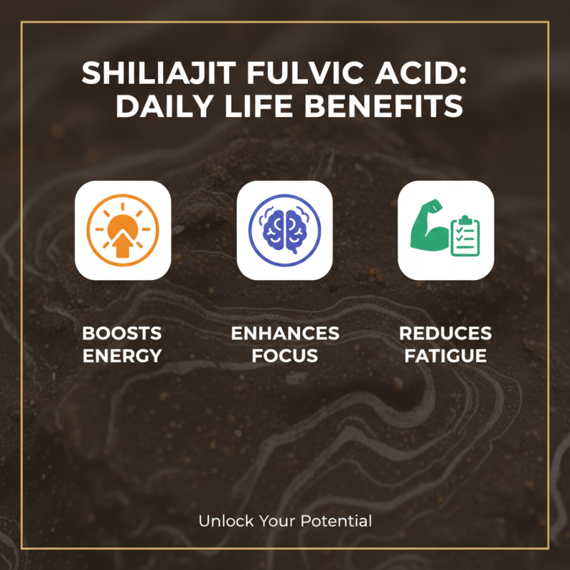 Best Shilajit Fulvic Acid Powder Benefits and Uses?