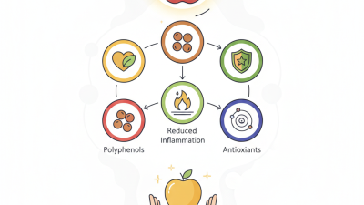 Why Is Apple Extract Beneficial for Your Health?