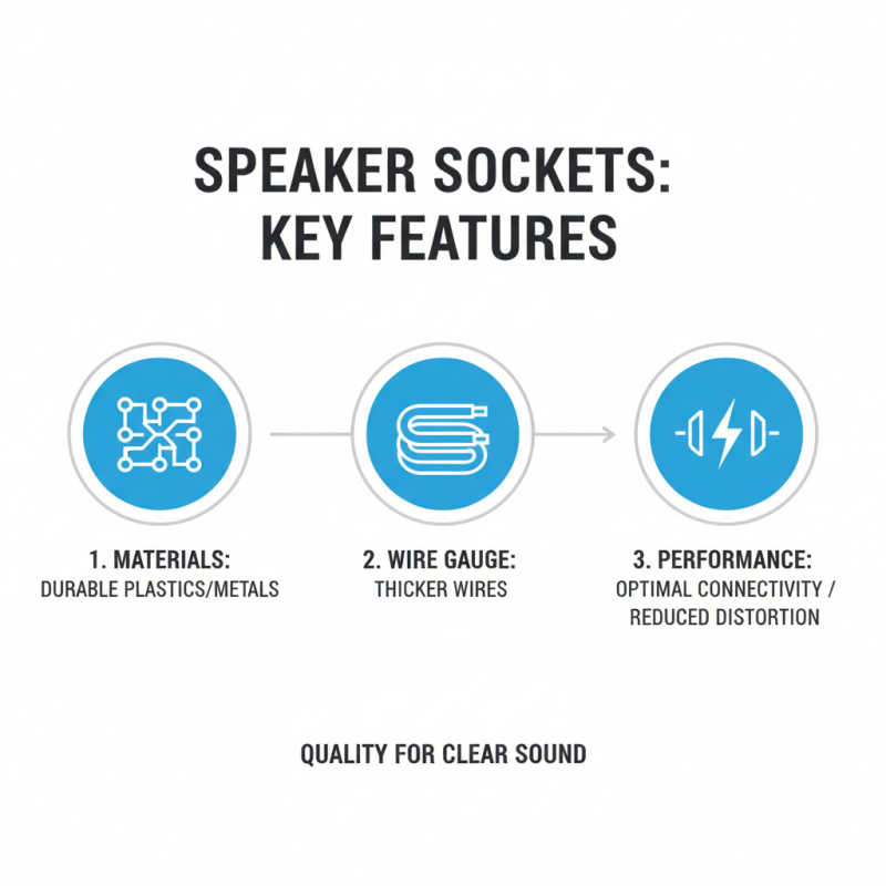 10 Best Speaker Sockets for Enhanced Sound Quality and Performance?