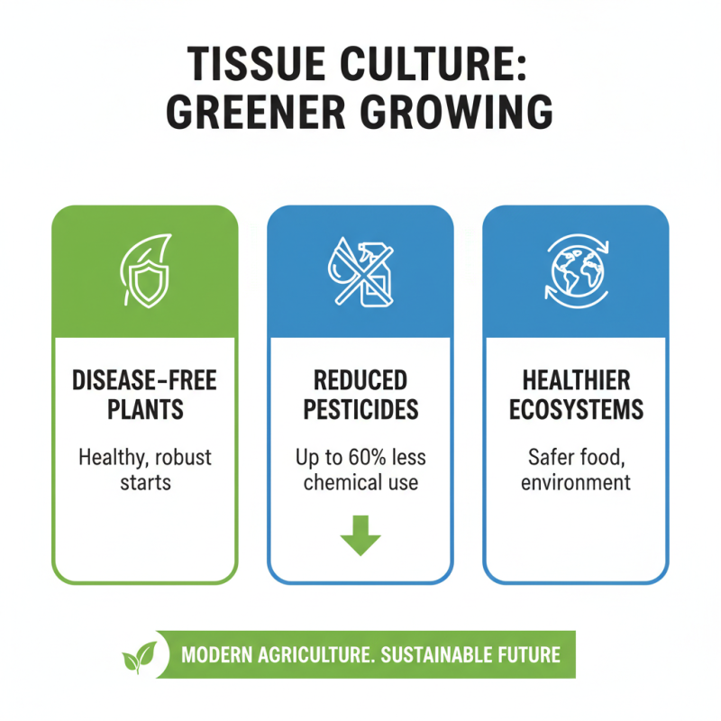 Top 10 Benefits of Tissue Culture for Modern Agriculture and Horticulture?