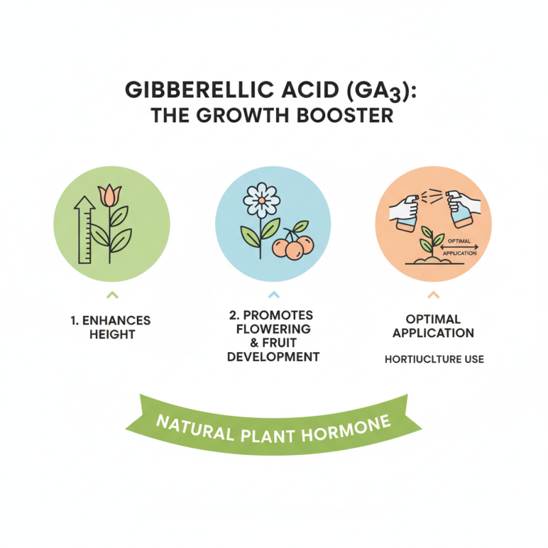 Gibberellic Acid for Plants Top Tips for Optimal Growth?