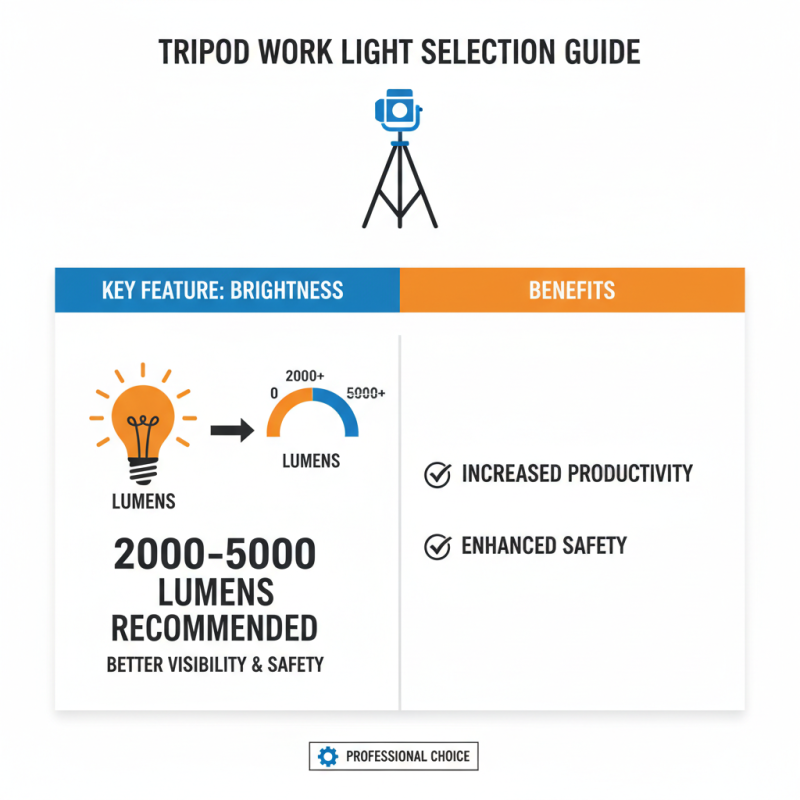 Top Tips for Choosing the Best Tripod Work Light?