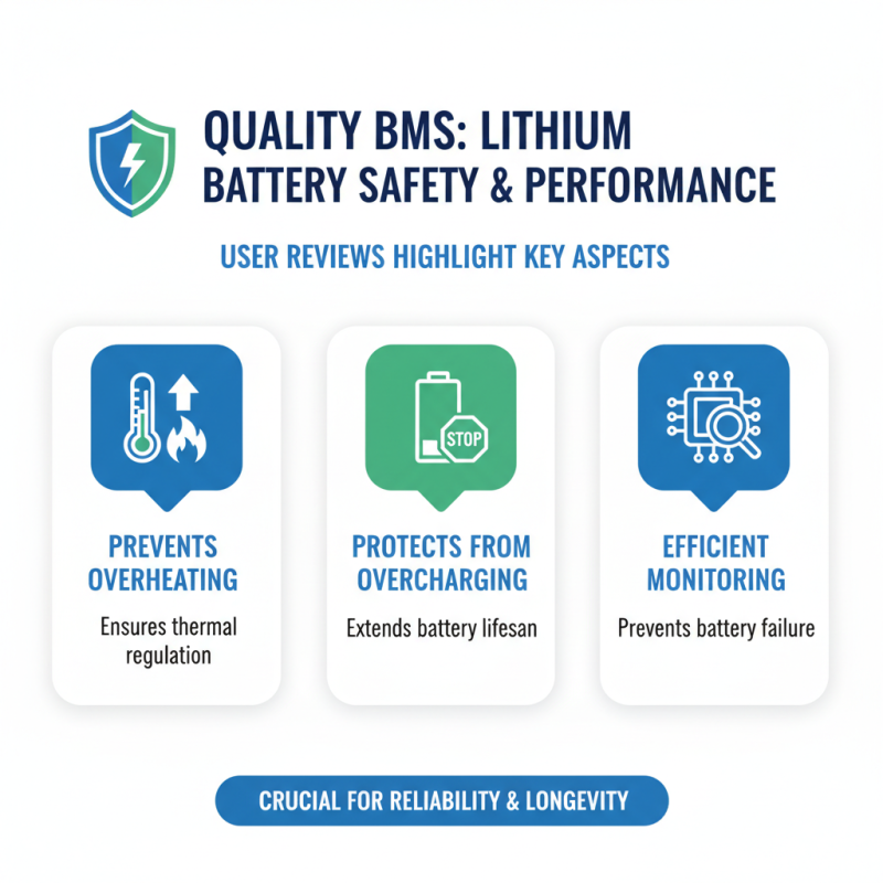 2026 Best Lithium Battery BMS Manufacturer Insights and Reviews?