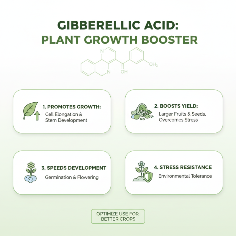 How to Use Gibberellic Acid on Plant Growth for Maximum Benefits?