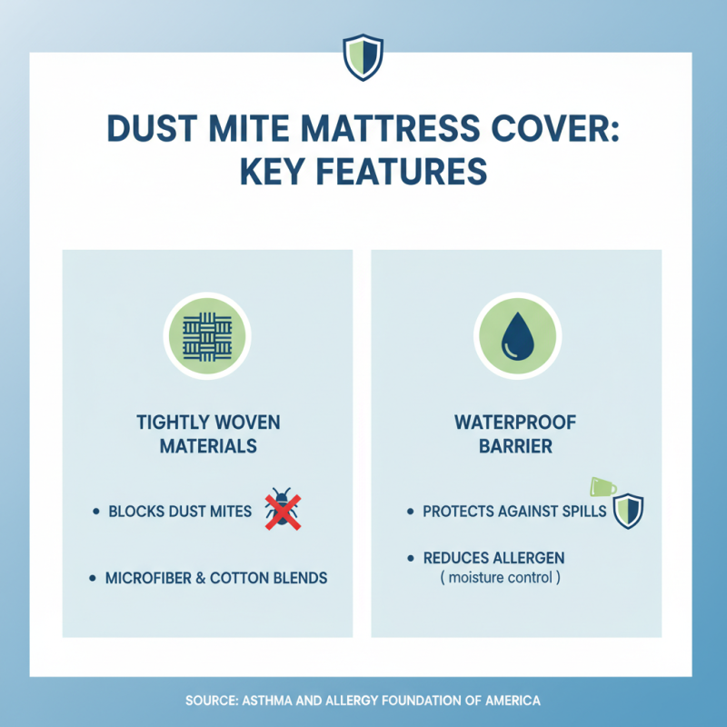 How to Choose the Best Dust Mite Mattress Cover for Your Allergies?