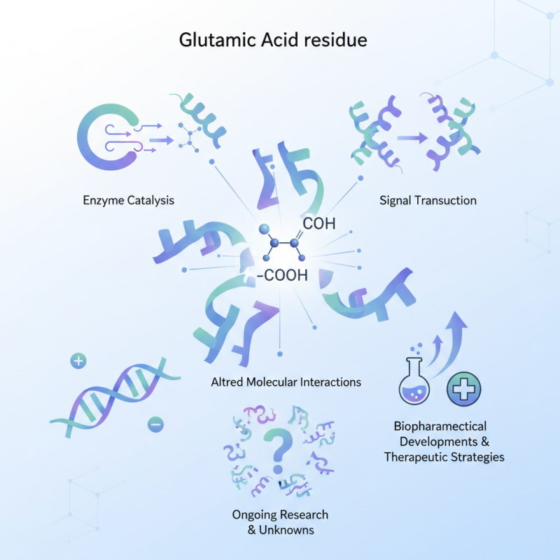 How Does Glutamic Acid Residue Impact Protein Function?