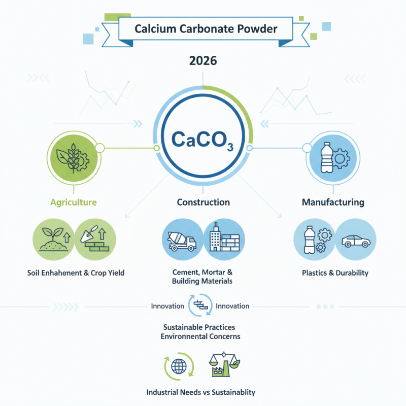 What is Calcium Carbonate Powder and Its Uses in 2026?