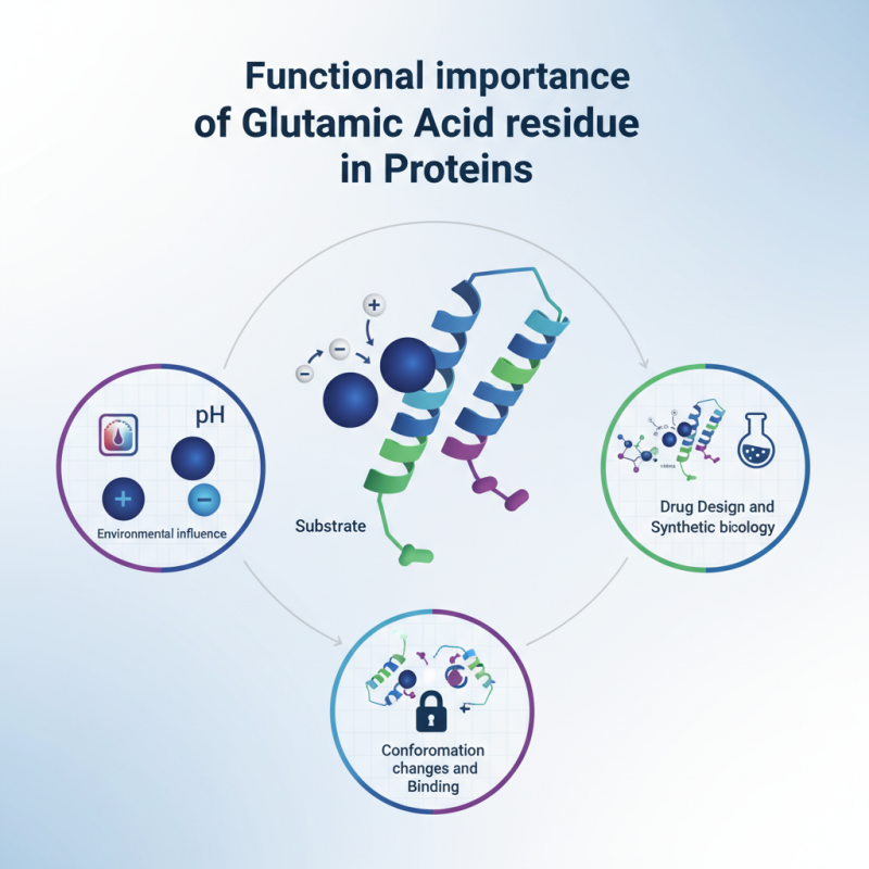 Why is Glutamic Acid Residue Important in Protein Function?