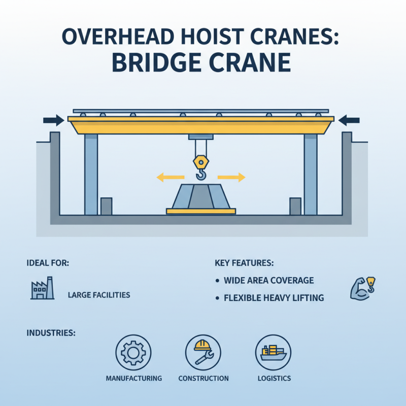 Why Choose an Overhead Hoist Crane for Your Lifting Needs?