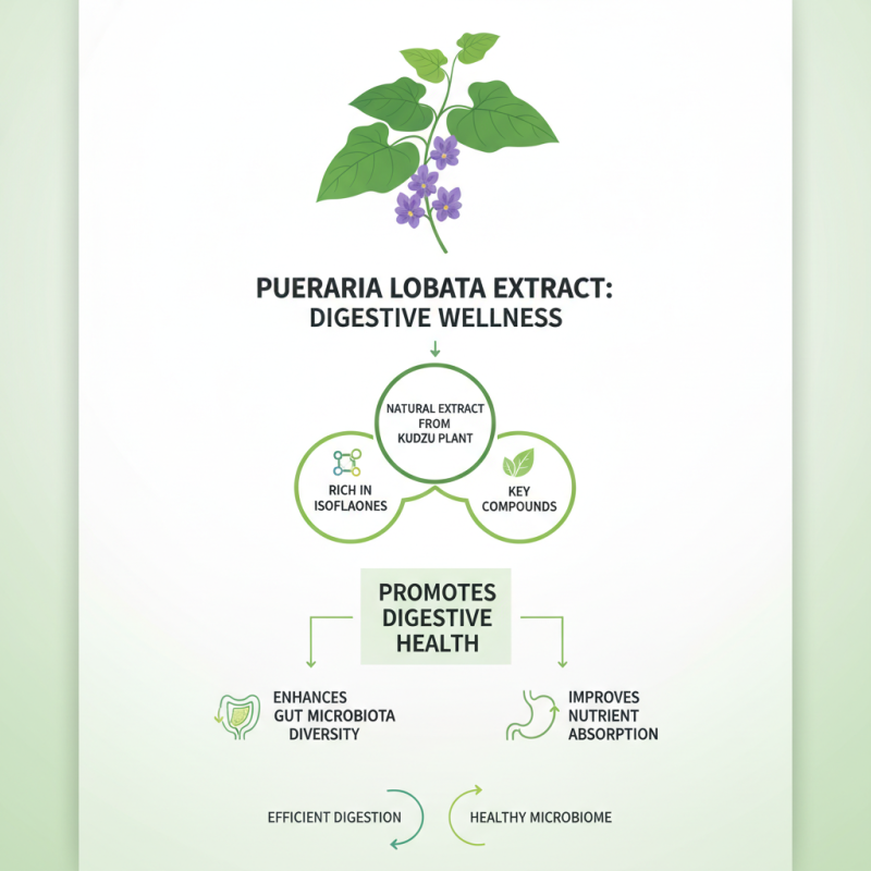 Top 10 Benefits of Pueraria Lobata Extract for Health?