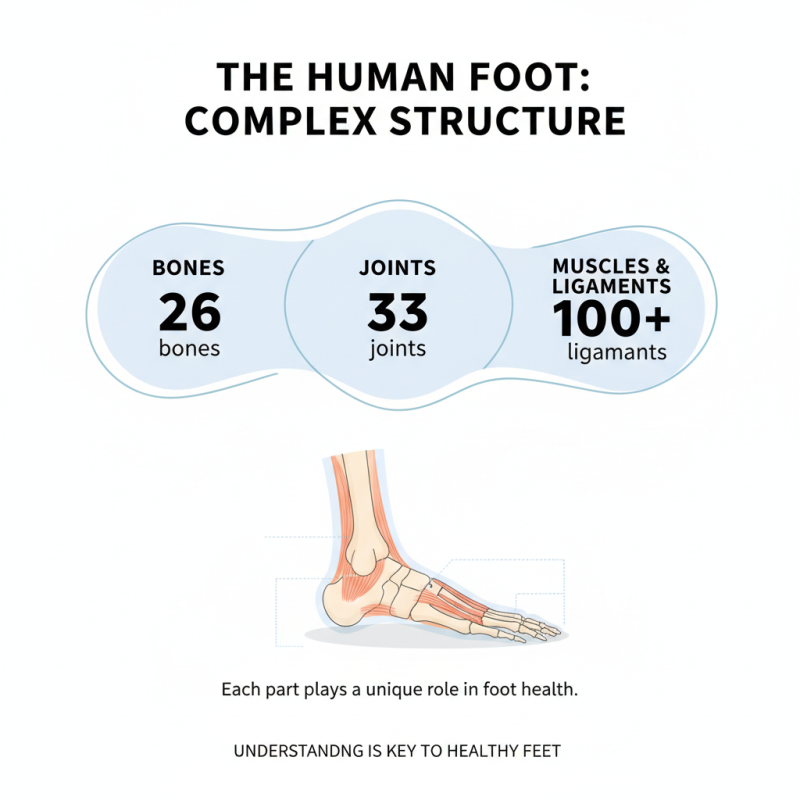How to Care for Different Foot Parts for Optimal Health and Comfort?