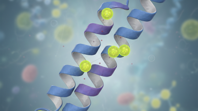What is Glutamic Acid Residue and Its Importance in Proteins?
