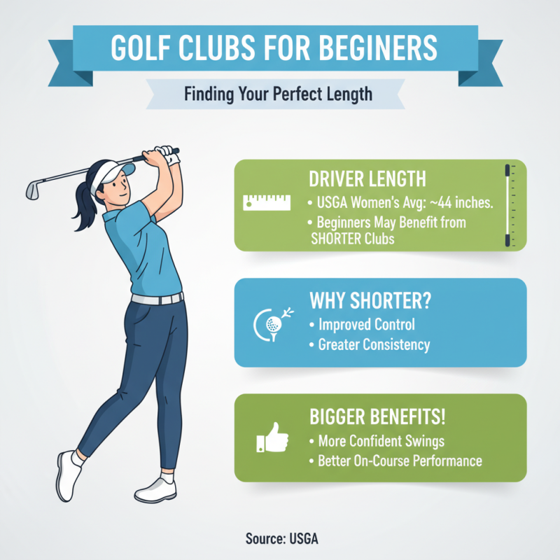 What is the Best Type of Ladies Golf Clubs for Beginners?