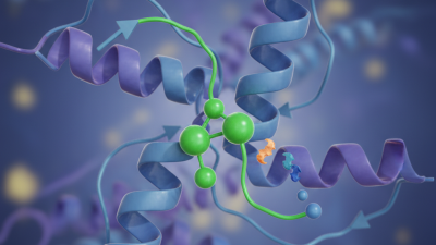 What is the Role of Glutamic Acid Residue in Proteins?