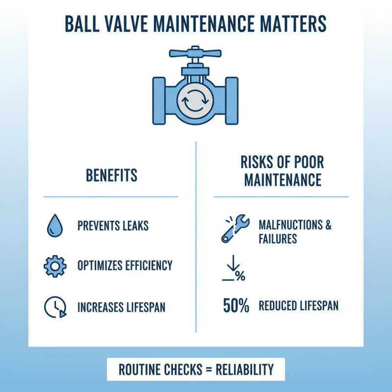 2026 Best Ball Valves for Your Needs What to Consider?