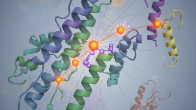 What is the Role of Glutamic Acid Residue in Proteins?