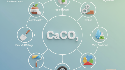 Top 10 Uses for Calcium Carbonate Powder in Everyday Life?