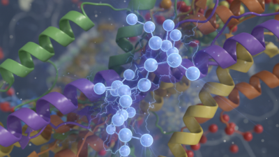 What is Glutamic Acid Residue and its Role in Proteins?