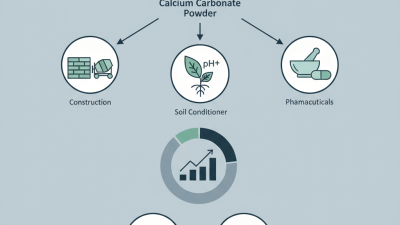 Best Calcium Carbonate Powder Uses and Benefits?