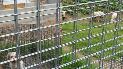 What is Welded Wire Mesh and Its Uses?