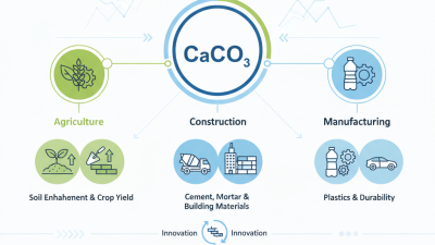 What is Calcium Carbonate Powder and Its Uses in 2026?