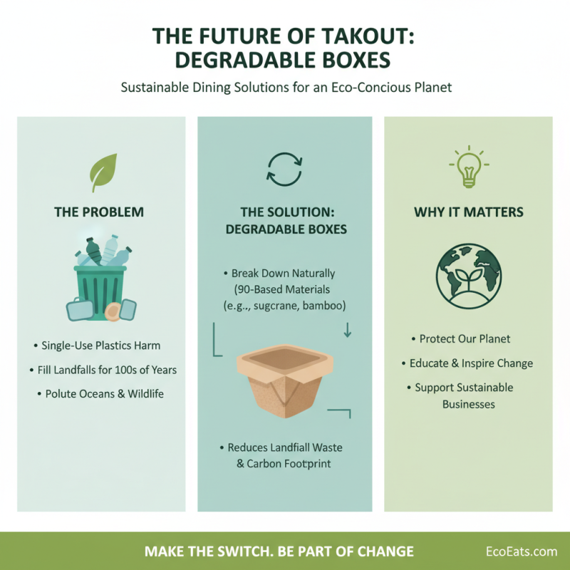 Top 10 Benefits of Degradable Takeout Boxes for Eco Friendly Dining?