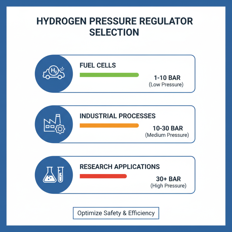How to Choose the Right Hydrogen Pressure Regulator for Your Needs?