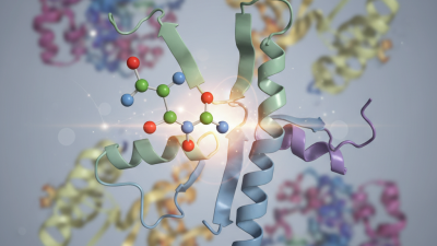 What is the Role of Glutamic Acid Residue in Protein Function?