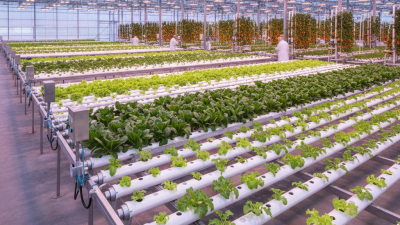 How to Choose the Right Commercial Hydroponic Systems for Your Business?