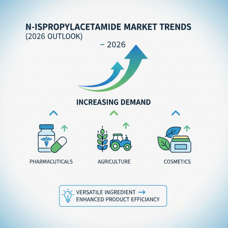 2026 How to Use N Isopropylacetamide Effectively for Your Applications?