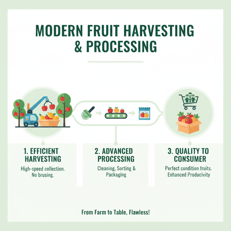 10 Best Fruit Machinery for Efficient Harvesting and Processing?