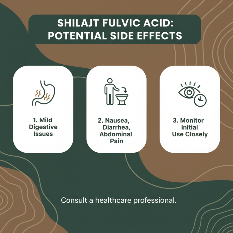 2026 Best Shilajit Fulvic Acid Powder Benefits and Uses?