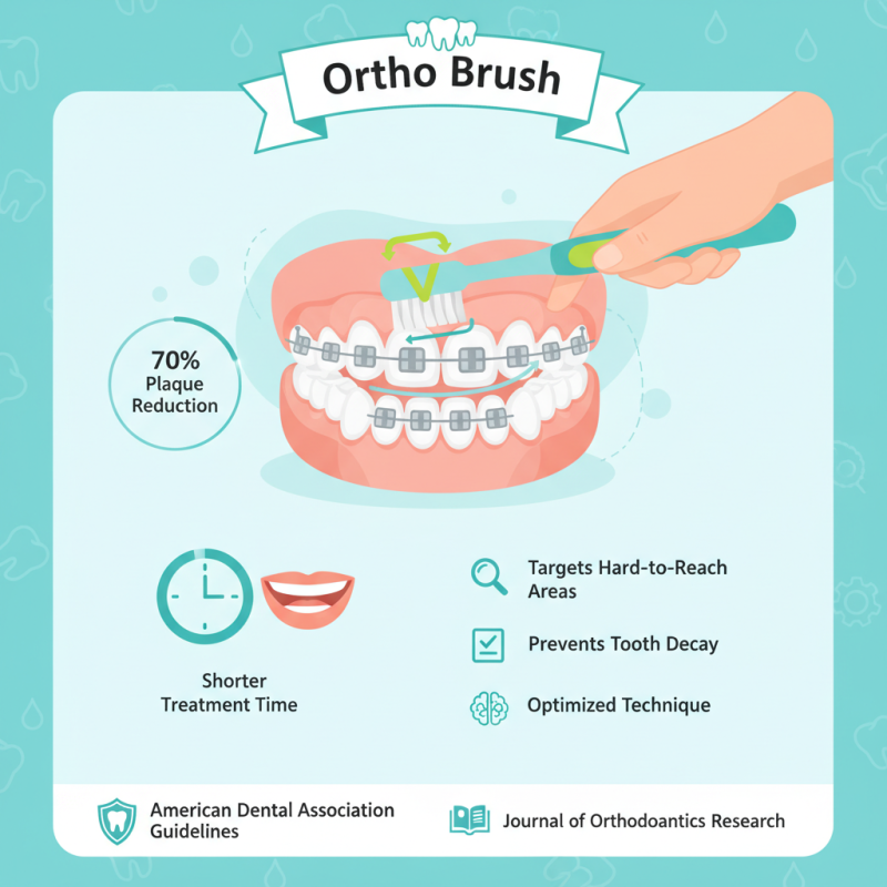 2026 How to Use Ortho Brush for Effective Dental Care?