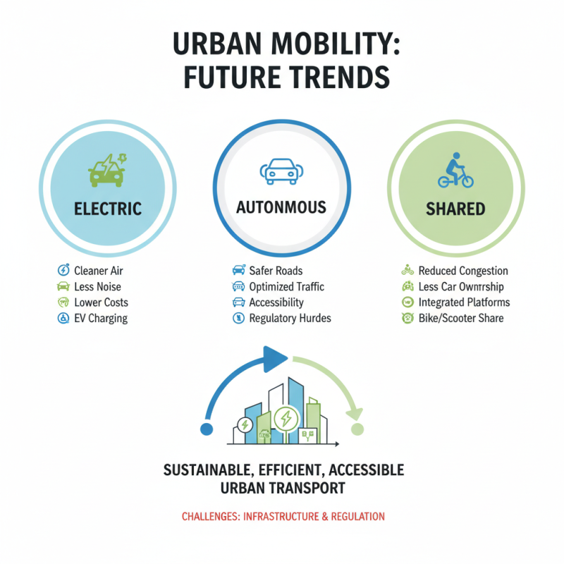 What is the overhead door and how does it work?